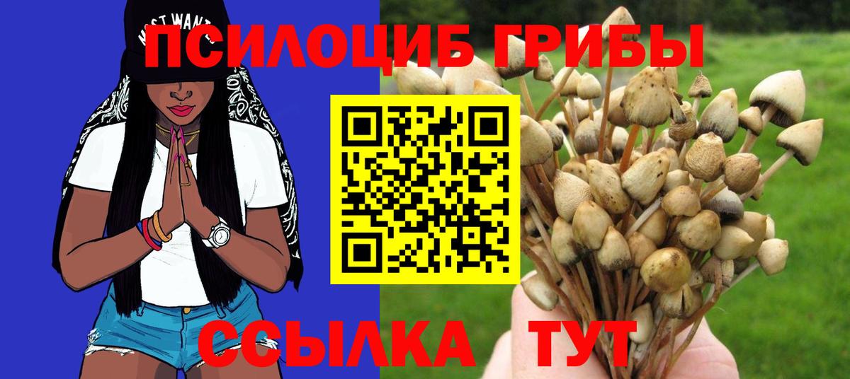Галлюциногенные грибы ЛСД  Галлюциногенные грибы прущие грибы  Сухой Лог  Вход с VPN 