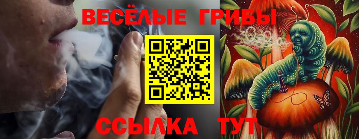 Псилоцибиновые грибы мицелий Сухой Лог